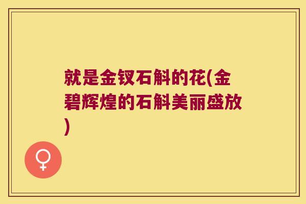 就是金钗石斛的花(金碧辉煌的石斛美丽盛放)