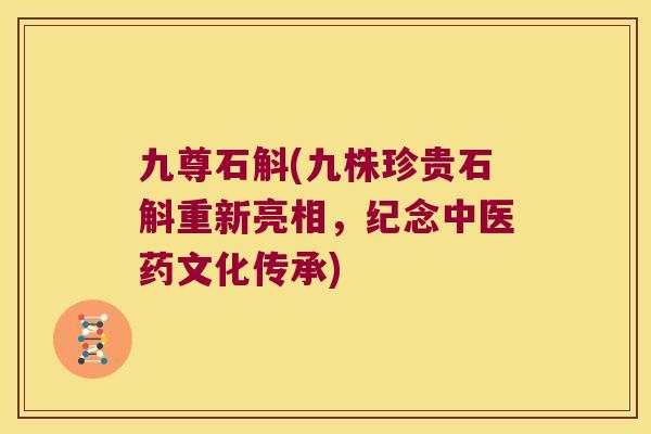 九尊石斛(九株珍贵石斛重新亮相，纪念中医药文化传承)