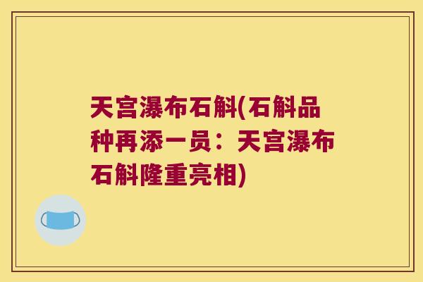天宫瀑布石斛(石斛品种再添一员：天宫瀑布石斛隆重亮相)