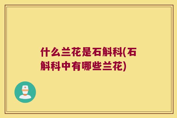 什么兰花是石斛科(石斛科中有哪些兰花)