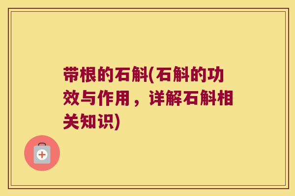 带根的石斛(石斛的功效与作用，详解石斛相关知识)