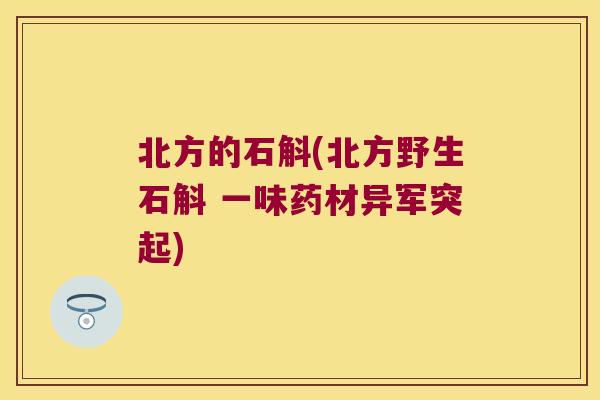 北方的石斛(北方野生石斛 一味药材异军突起)