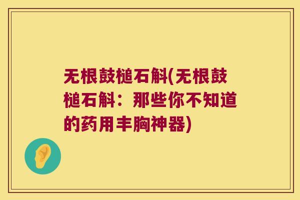 无根鼓槌石斛(无根鼓槌石斛：那些你不知道的药用丰胸神器)