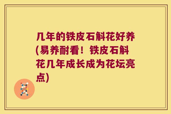 几年的铁皮石斛花好养(易养耐看！铁皮石斛花几年成长成为花坛亮点)