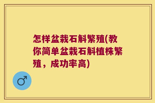 怎样盆栽石斛繁殖(教你简单盆栽石斛植株繁殖，成功率高)