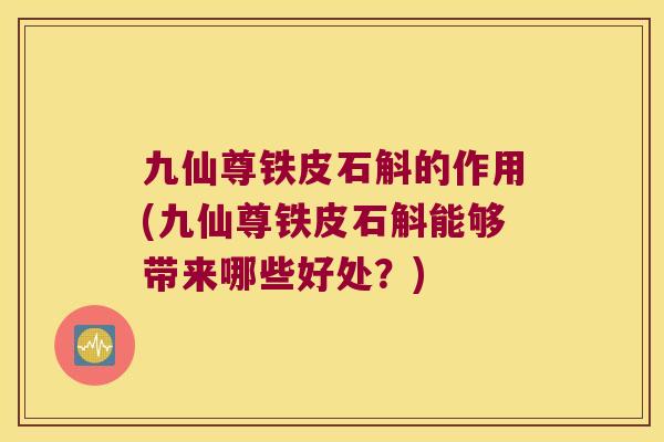 九仙尊铁皮石斛的作用(九仙尊铁皮石斛能够带来哪些好处？)