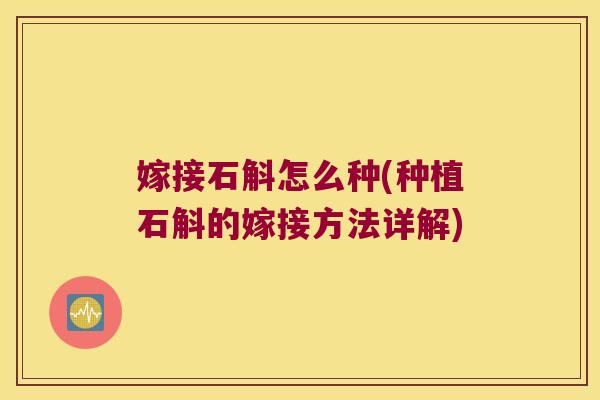 嫁接石斛怎么种(种植石斛的嫁接方法详解)