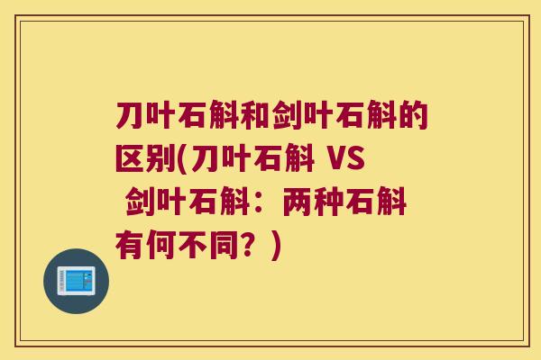 刀叶石斛和剑叶石斛的区别(刀叶石斛 VS 剑叶石斛：两种石斛有何不同？)