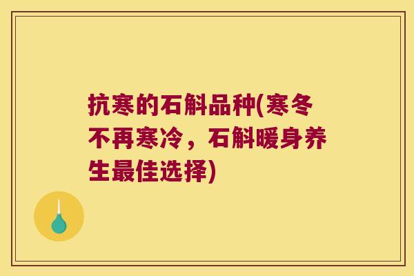 抗寒的石斛品种(寒冬不再寒冷，石斛暖身养生最佳选择)