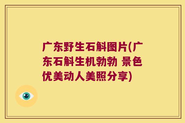 广东野生石斛图片(广东石斛生机勃勃 景色优美动人美照分享)