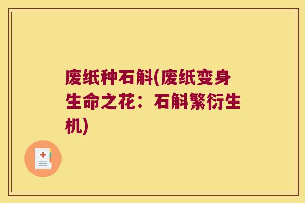 废纸种石斛(废纸变身生命之花：石斛繁衍生机)