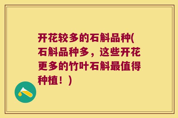 开花较多的石斛品种(石斛品种多，这些开花更多的竹叶石斛值得种植！)