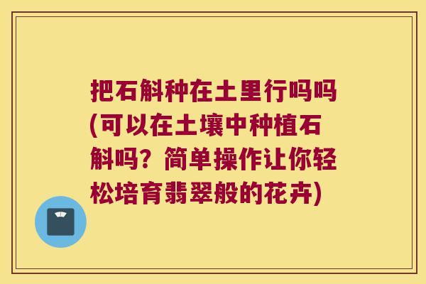 把石斛种在土里行吗吗(可以在土壤中种植石斛吗？简单操作让你轻松培育翡翠般的花卉)