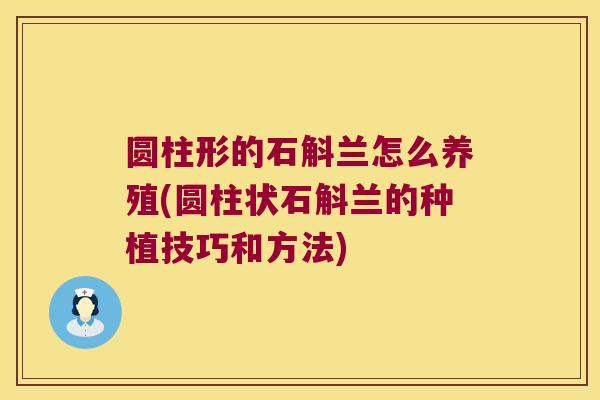 圆柱形的石斛兰怎么养殖(圆柱状石斛兰的种植技巧和方法)