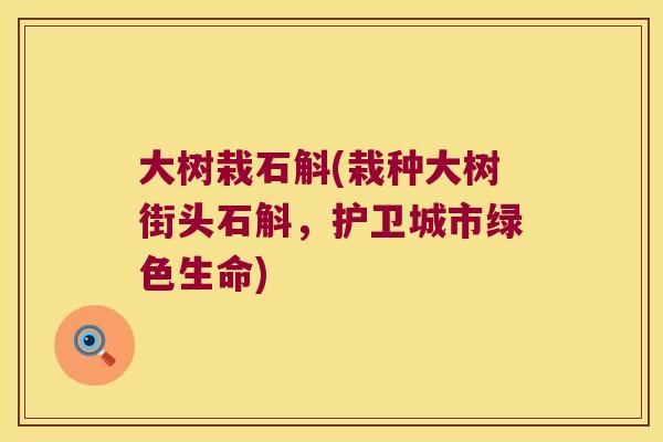 大树栽石斛(栽种大树街头石斛，护卫城市绿色生命)