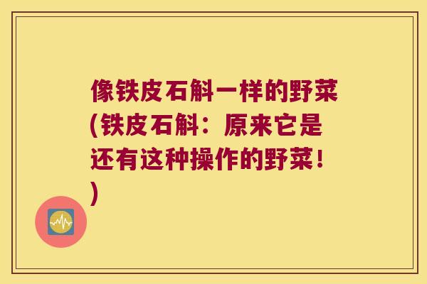 像铁皮石斛一样的野菜(铁皮石斛：原来它是还有这种操作的野菜！)