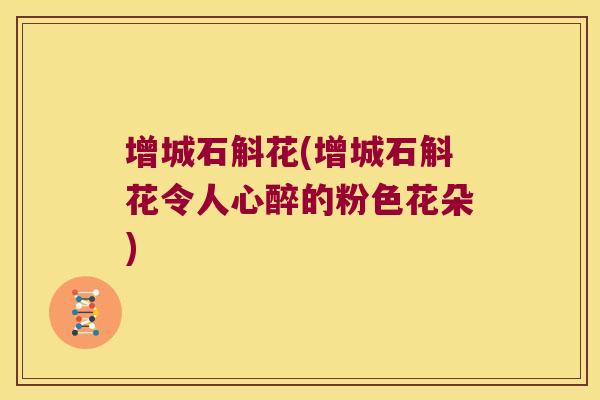 增城石斛花(增城石斛花令人心醉的粉色花朵)