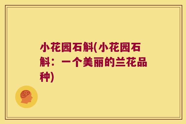 小花园石斛(小花园石斛：一个美丽的兰花品种)
