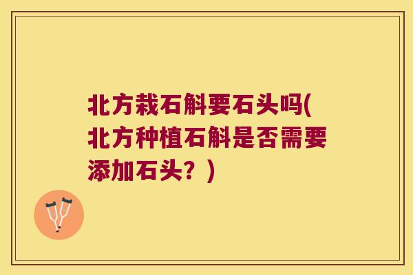 北方栽石斛要石头吗(北方种植石斛是否需要添加石头？)