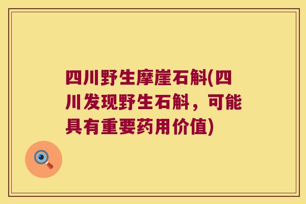四川野生摩崖石斛(四川发现野生石斛,可能具有重要药用价值) 四川野生摩崖石斛(四川发现野生石斛,可能具有重要药用价值)