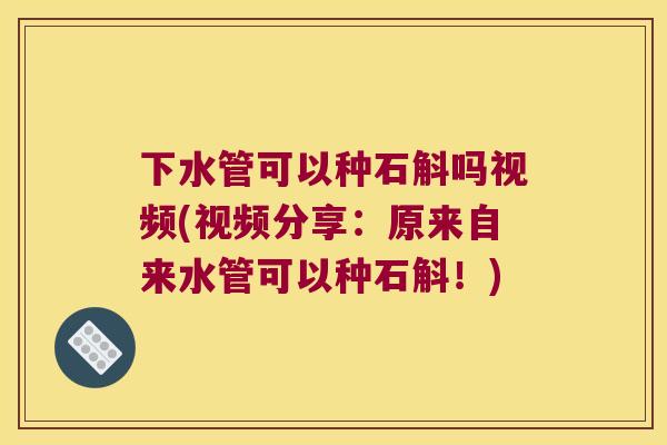下水管可以种石斛吗视频(视频分享：原来自来水管可以种石斛！)
