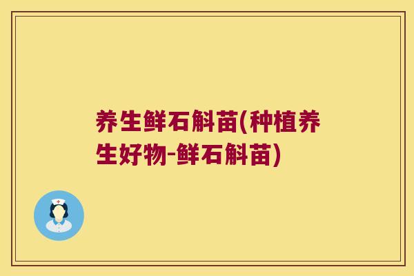 养生鲜石斛苗(种植养生好物-鲜石斛苗)