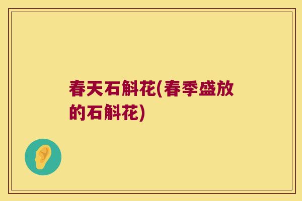 春天石斛花(春季盛放的石斛花)