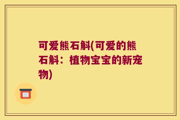 可爱熊石斛(可爱的熊石斛：植物宝宝的新宠物)