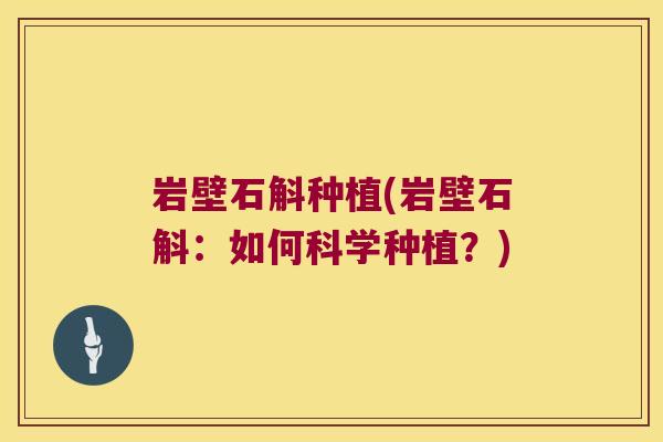 岩壁石斛种植(岩壁石斛：如何科学种植？)