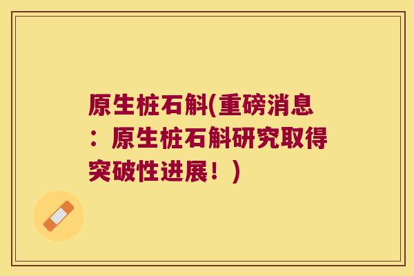 原生桩石斛(重磅消息：原生桩石斛研究取得突破性进展！)