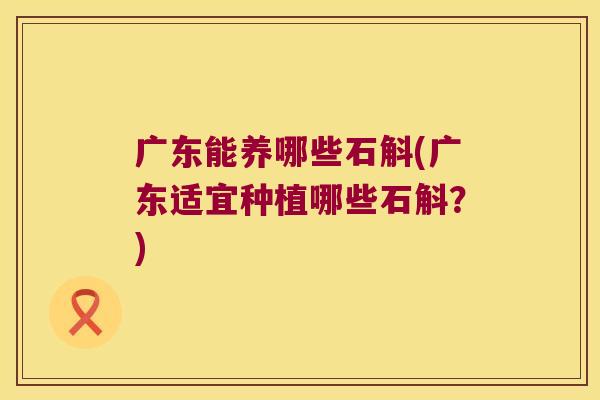 广东能养哪些石斛(广东适宜种植哪些石斛?) 广东能养哪些石斛(广东适宜种植哪些石斛?)
