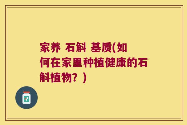 家养 石斛 基质(如何在家里种植健康的石斛植物？)