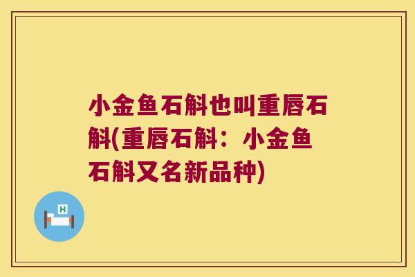 小金鱼石斛也叫重唇石斛(重唇石斛：小金鱼石斛又名新品种)