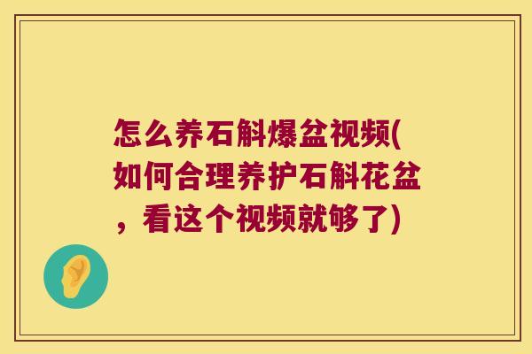 怎么养石斛爆盆视频(如何合理养护石斛花盆，看这个视频就够了)