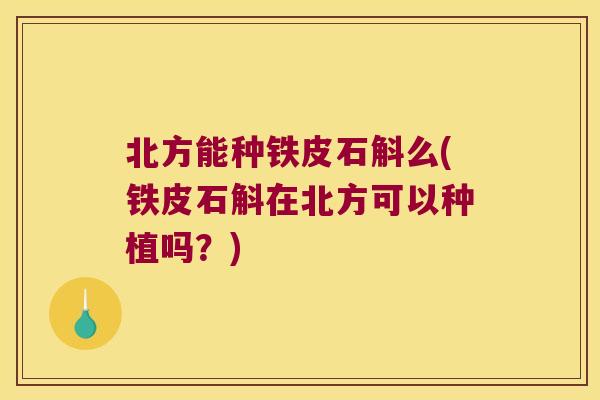 北方能种铁皮石斛么(铁皮石斛在北方可以种植吗？)