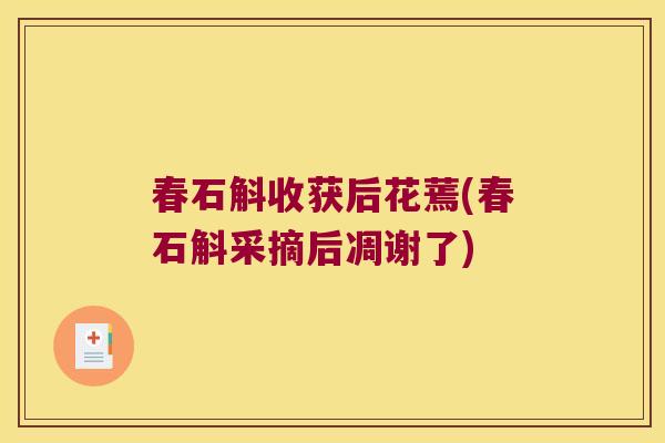 春石斛收获后花蔫(春石斛采摘后凋谢了) 春石斛收获后花蔫(春石斛采摘后凋谢了)