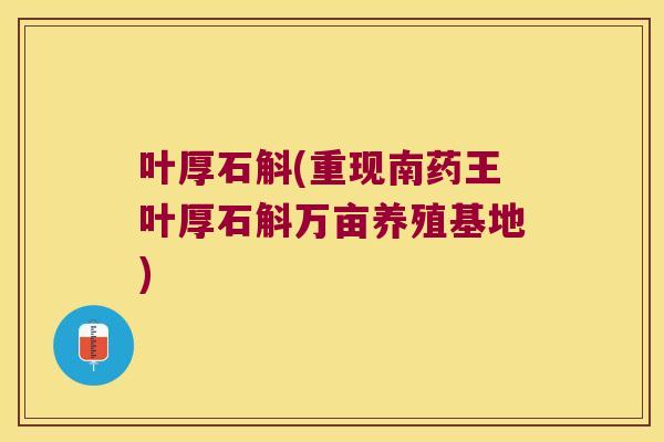 叶厚石斛(重现南药王叶厚石斛万亩养殖基地)