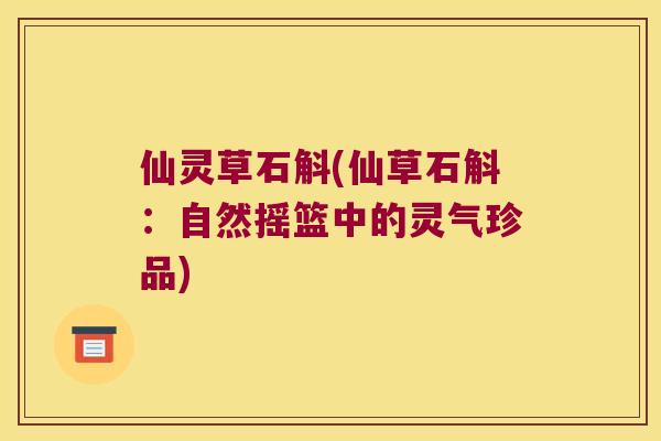 仙灵草石斛(仙草石斛：自然摇篮中的灵气珍品)