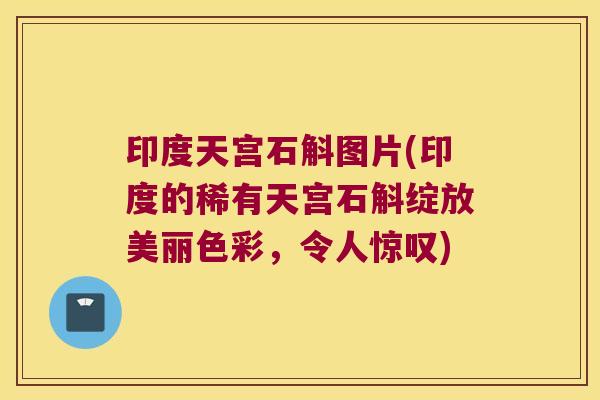 印度天宫石斛图片(印度的稀有天宫石斛绽放美丽色彩,令人惊叹) 印度天宫石斛图片(印度的稀有天宫石斛绽放美丽色彩,令人惊叹)