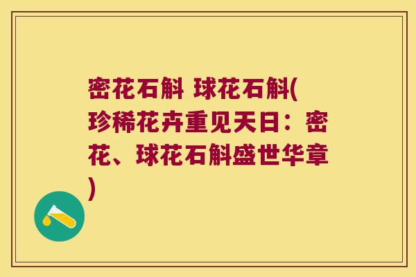 密花石斛 球花石斛(珍稀花卉重见天日：密花、球花石斛盛世华章)
