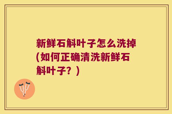 新鲜石斛叶子怎么洗掉(如何正确清洗新鲜石斛叶子？)