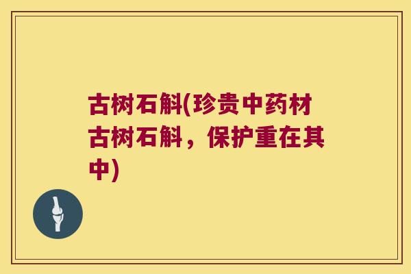 古树石斛(珍贵材古树石斛,保护重在其中) 古树石斛(珍贵材古树石斛,保护重在其中)