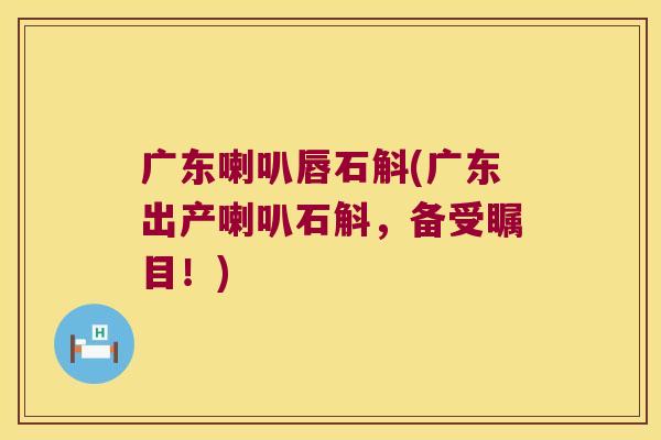 广东喇叭唇石斛(广东出产喇叭石斛，备受瞩目！)