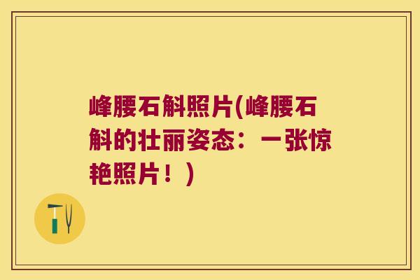 峰腰石斛照片(峰腰石斛的壮丽姿态:一张惊艳照片!) 峰腰石斛照片(峰腰石斛的壮丽姿态:一张惊艳照片!)