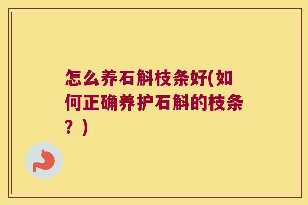 怎么养石斛枝条好(如何正确养护石斛的枝条？)