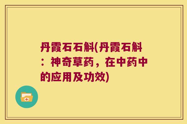 丹霞石石斛(丹霞石斛：神奇草药，在中药中的应用及功效)