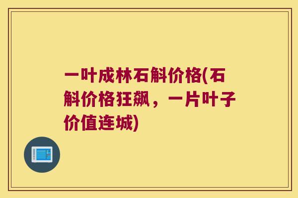 一叶成林石斛价格(石斛价格狂飙，一片叶子价值连城)