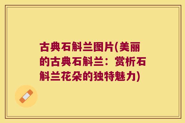 古典石斛兰图片(美丽的古典石斛兰：赏析石斛兰花朵的独特魅力)