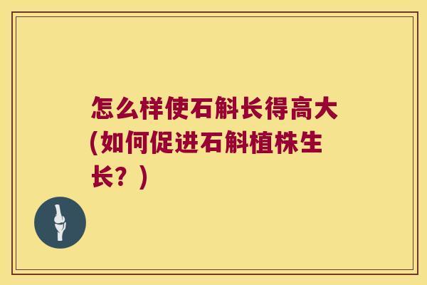 怎么样使石斛长得高大(如何促进石斛植株生长？)