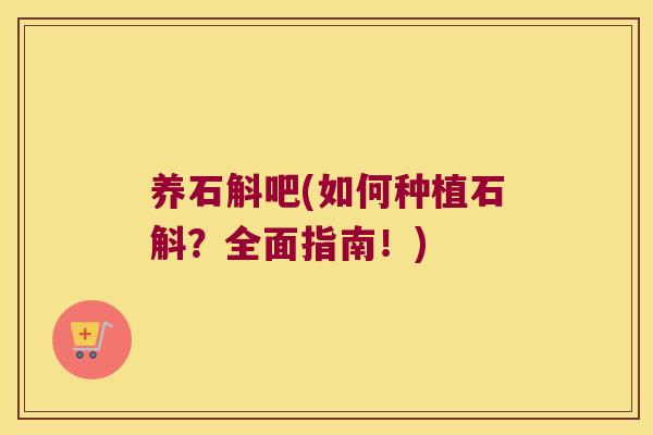 养石斛吧(如何种植石斛？全面指南！)